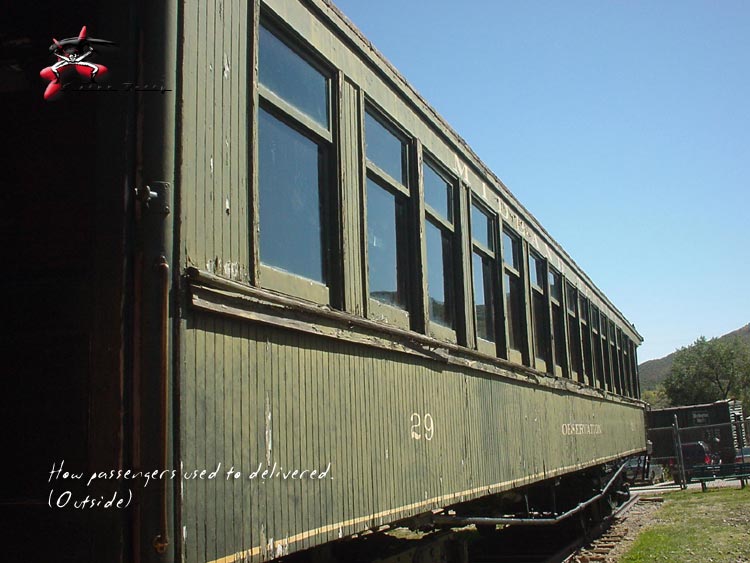 Midland Observation Coach