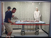 Click for larger image